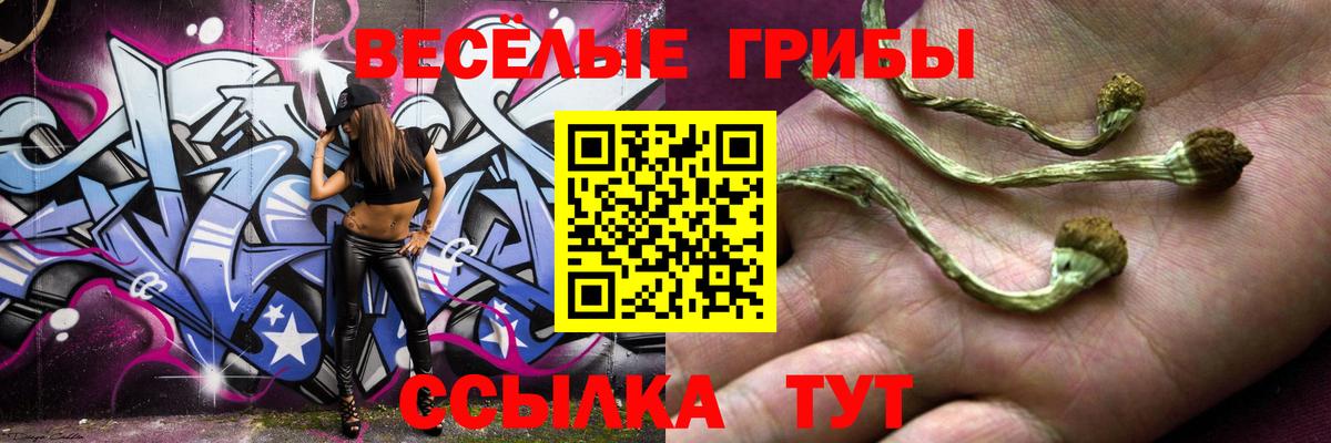 купить наркоту  Галлюциногенные грибы Magic Shrooms  Вход с VPN  Псилоцибиновые грибы Psilocybe  Барабинск 