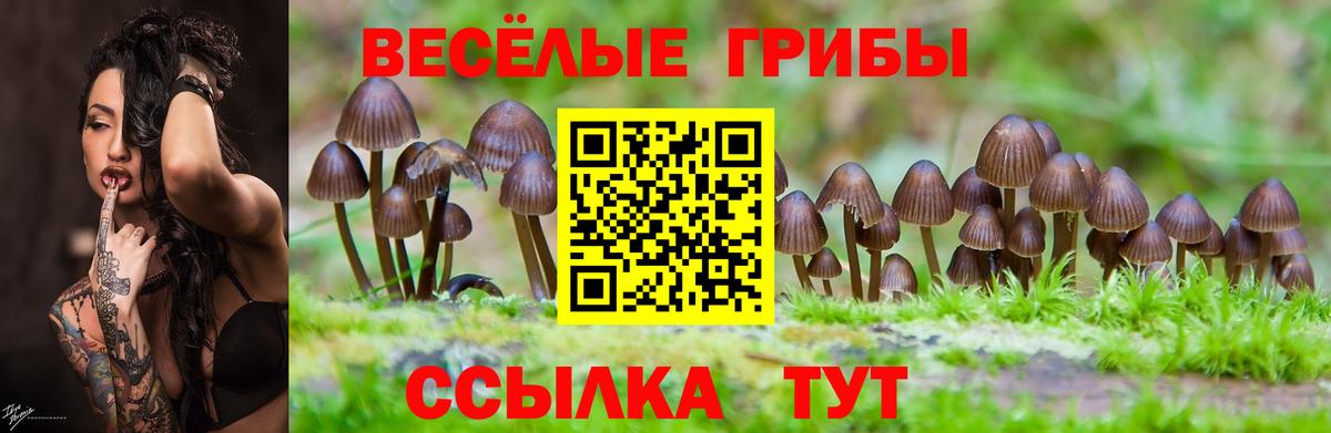 Псилоцибиновые грибы MAGIC MUSHROOMS Барабинск